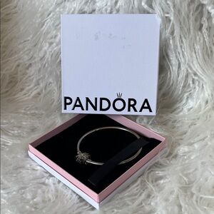 Pandora Silver Bracelet with Charm